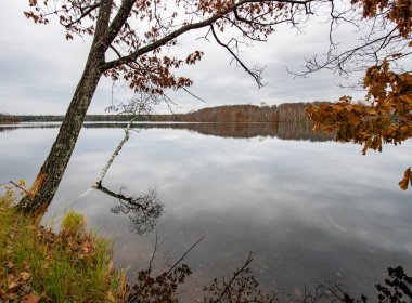 Ağaçlı ve göllü güzel sonbahar manzarası