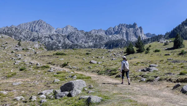 Giovane Donna Esplorare Montagne Estate — Foto Stock