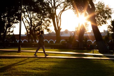 Adam parkta yoga yapıyor, antrenman yapıyor ve egzersiz yapıyor.