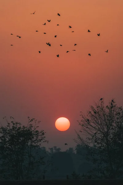 Gün Batımında Agra Hindistan Kuşlar Uçarken Güneş Ufukta Kaybolur — Stok fotoğraf