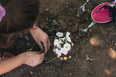 Bahçeye çiçek eken kadın