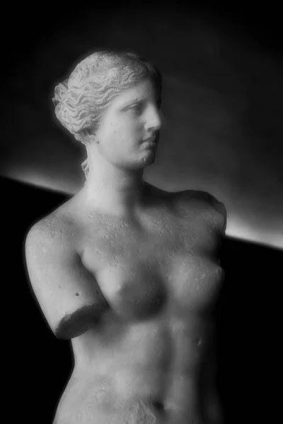 Black White Half Length Portrait Venus Milo Sculpture — Stock Photo, Image