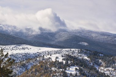 Sonbaharda karlı ağaçlar üzerinde sis