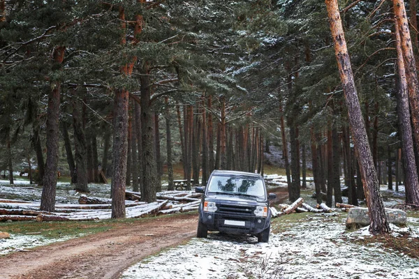Samochód Śnieżnej Drodze Sosnowym Lesie — Zdjęcie stockowe