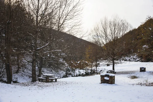 Aire Pique Nique Enneigée Milieu Montagne Entourée Arbres — Photo