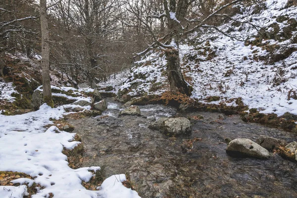 Χιονισμένο Ποτάμι Που Περιβάλλεται Από Δέντρα Στο Πευκοδάσος Κατά Διάρκεια — Φωτογραφία Αρχείου
