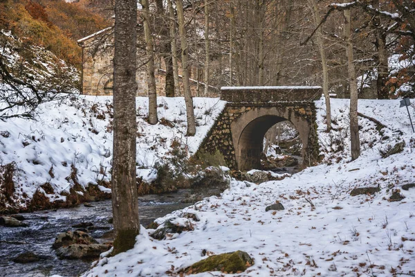 Rivière Avec Pont Enneigé Entouré Arbres — Photo