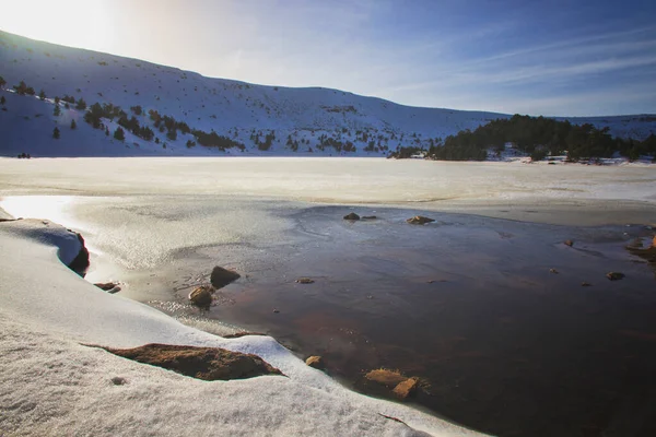Fryst Lagun Vintern Med Träd Neila — Stockfoto