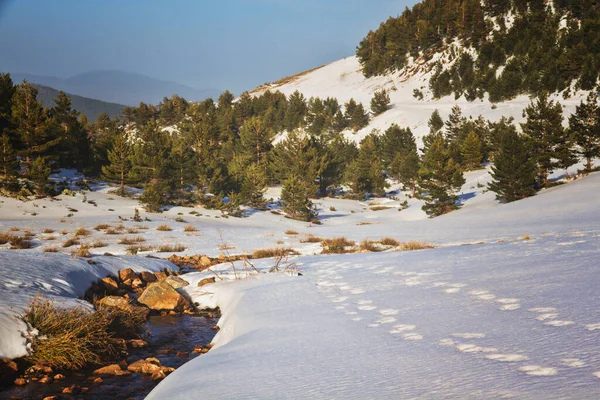 Χιονισμένο Ποτάμι Που Περιβάλλεται Από Δέντρα Κατά Διάρκεια Του Χειμώνα — Φωτογραφία Αρχείου