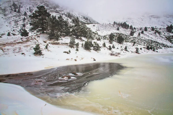 Laguna Congelada Durante Invierno Con Árboles Neila —  Fotos de Stock