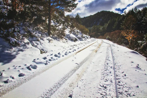 Χιονισμένο Δρόμο Μεταξύ Των Δασών — Φωτογραφία Αρχείου