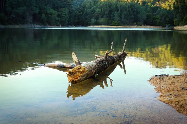 湖の美しい景色 — ストック写真