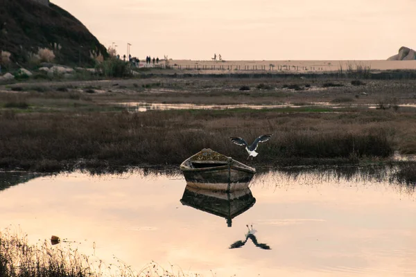 Une Belle Vue Sur Lac Matin — Photo