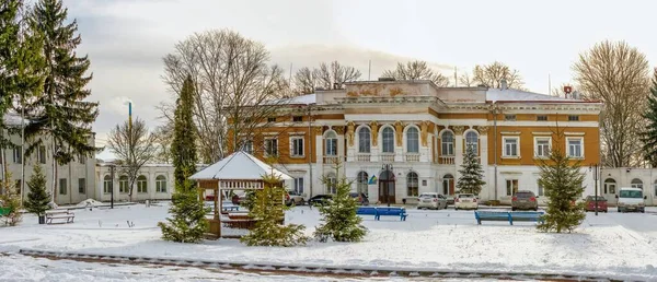 2014 Mykulyntsi Ukraine 2020 구름낀 겨울날 우크라이나의 마을에 백작의 — 스톡 사진