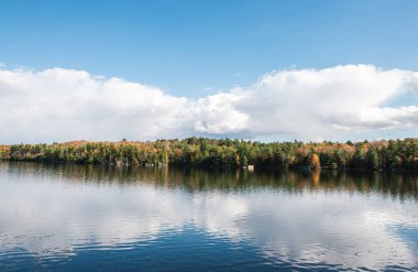 Ağaçlı ve göllü güzel sonbahar manzarası