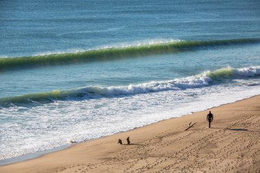 Arkadan dalgıç kıyafetli bir sörfçü Wellfleet, MA 'daki Whitecrest Sahili' nde sörf tahtası taşıyor.