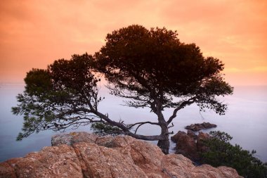 Akdeniz 'de gün batımı. Cala S 'Alguer. Costa Brava. Girona İspanya