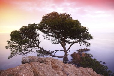 Akdeniz 'de gün batımı. Cala S 'Alguer. Costa Brava. Girona İspanya