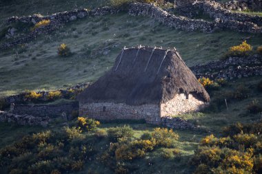 Doğanın güzel manzarası