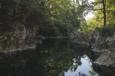 Ormandaki nehrin güzel manzarası