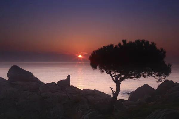 Pôr Sol Mediterrâneo Cala Alguer Costa Brava Girona Espanha — Fotografia de Stock