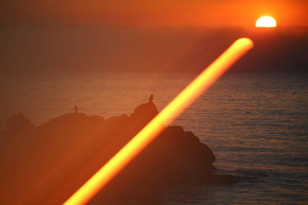 Solnedgång Medelhavet Cala Alguer Det Costa Brava Girona Spanien — Stockfoto