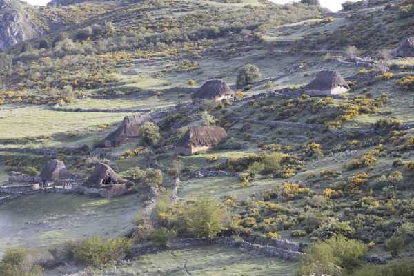 Hermoso Paisaje Con Una Montaña — Foto de Stock