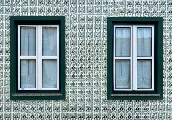 Pencereli Yeşil Yapraklı Pencere — Stok fotoğraf