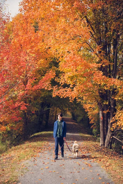 Młody Chłopiec Spacerujący Psem Jesiennym Parku — Zdjęcie stockowe