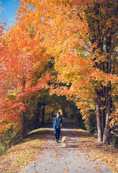 Młody Chłopiec Spacerujący Psem Jesiennym Parku — Zdjęcie stockowe