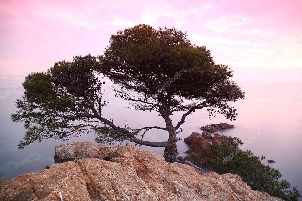 Sunset in the Mediterranean. Cala S'Alguer. Costa Brava. Girona Spain