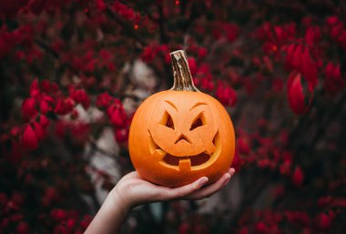 Cadılar Bayramı Balkabağı koyu arka plan üzerine de mum ile.