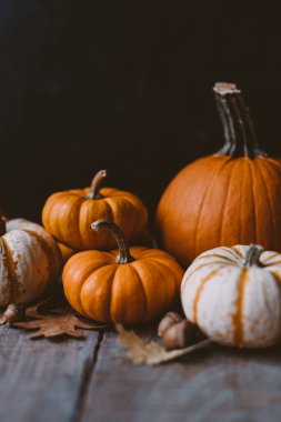 Sonbahar hasadı, balkabağı, yapraklar, sonbahar, şükran günü, yemek, mevsim, Cadılar Bayramı, bayram, kutlama