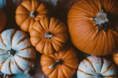 Cadılar bayramı arkaplanı balkabakları ve yapraklarla