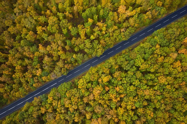 森の中の道路の空中風景 — ストック写真