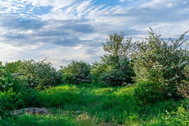 Güneşli bir yaz gününde Ukrayna 'nın Migiya köyü yakınlarındaki Güney Bug Nehri' nin kayalık kıyıları.