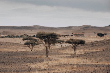 İsrail 'in kuzeyindeki Negev Çölü' nün güzel manzarası