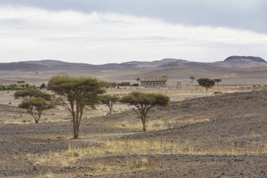 İsrail 'in kuzeyindeki Negev Çölü' nün güzel manzarası