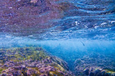 Malta 'daki Bahar ic-Caghaq' taki Rocky resifi