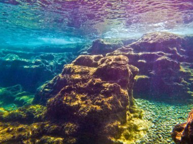 Malta 'nın Akdeniz kıyısındaki bir sualtı sahnesinin genel görüntüsü