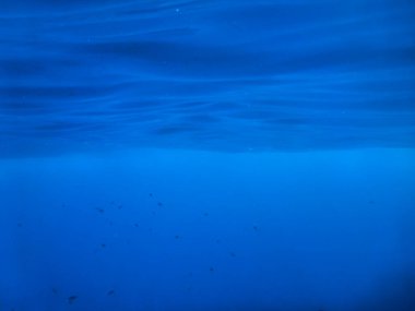 Dalgalı mavi suyun sualtı görüntüsü