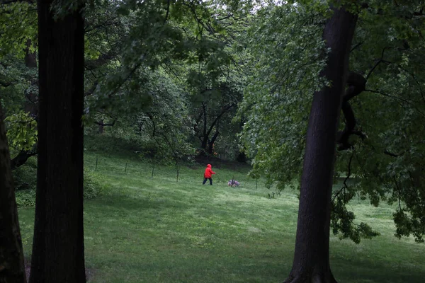 Hombre Caminando Entre Los Árboles Soleado Día Primavera —  Fotos de Stock