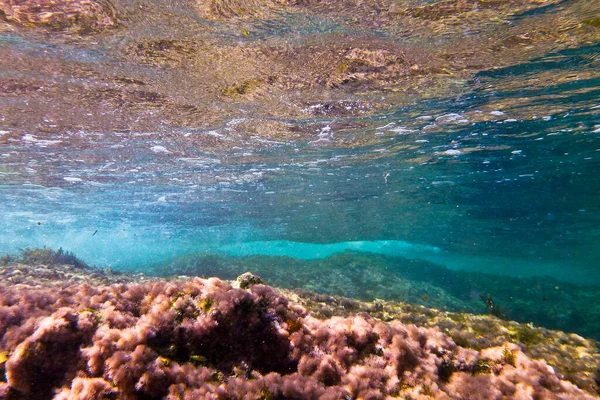 Arrecife Rocoso Bahar Caghaq Malta —  Fotos de Stock