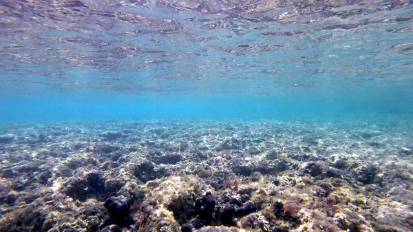 Vista Subaquática Belo Recife Coral Tropical Mar Azul — Fotografia de Stock