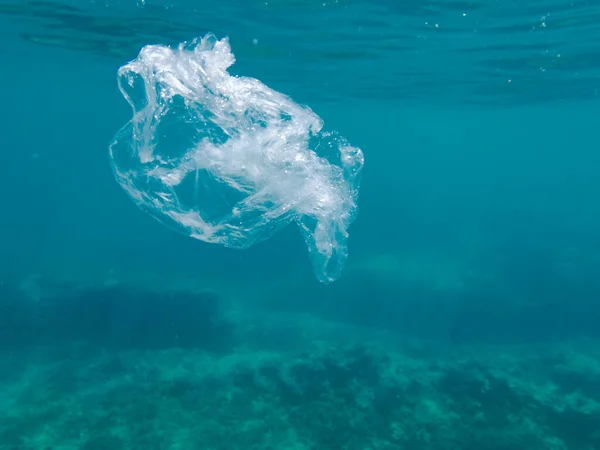 Υποβρύχια Θέα Ενός Δελφινιού Στη Θάλασσα — Φωτογραφία Αρχείου