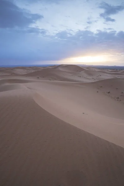 Woestijnduinen Natuur Reizen — Stockfoto