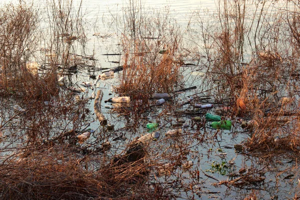 Trash Floating Major European River — Stock Photo, Image