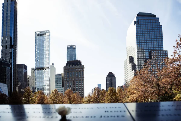 Biała Róża Pamiętająca Zmarłych World Trade Center — Zdjęcie stockowe