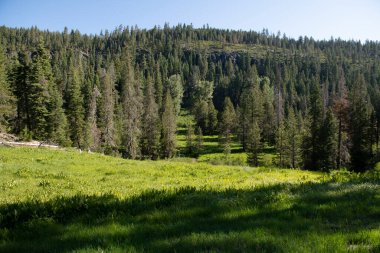Arka planda bir dağ nehri olan güzel bir manzara.