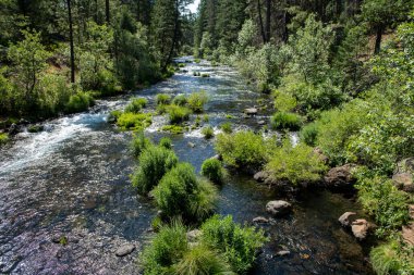 Dağlardaki nehrin güzel manzarası